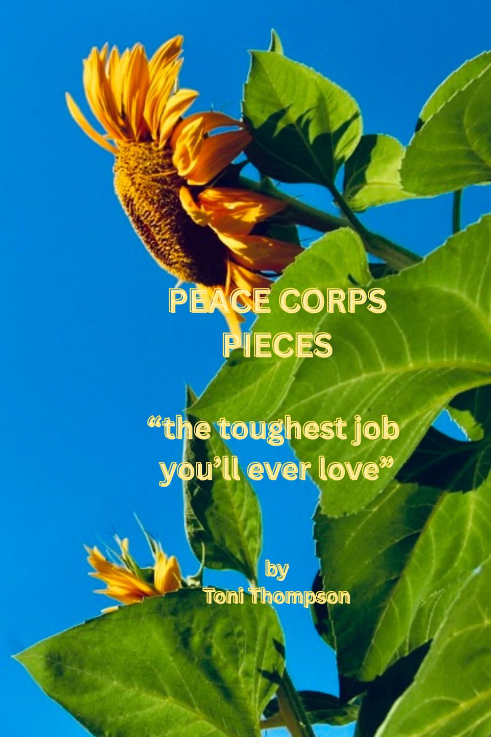 PEACE CORPS PIECES: "The Toughest Job You'll Ever Love"
