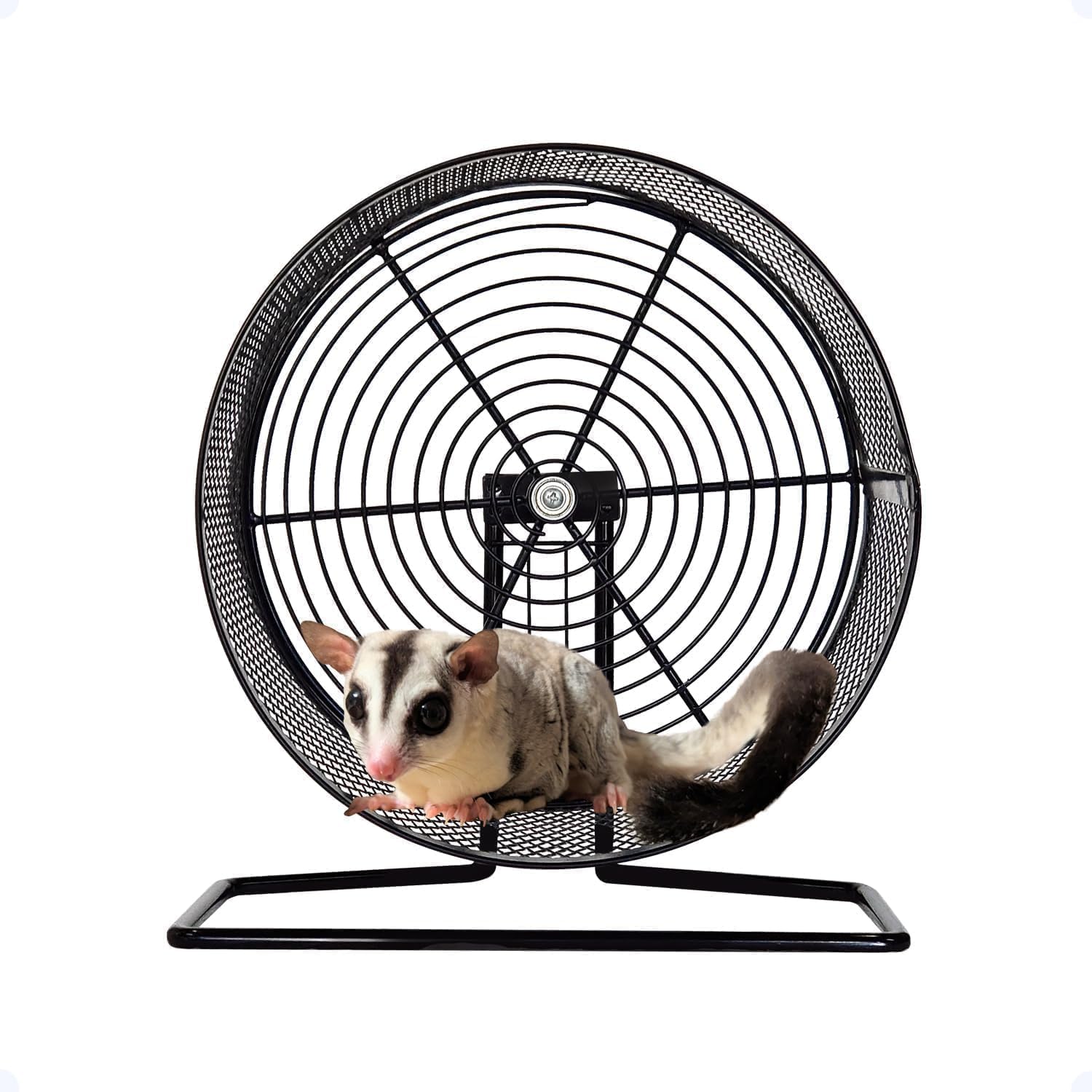 ち*。様 美品 爬虫類 小動物 飼育ケージ 75cm 扉で開け閉め便利 ホイール Amazon.co.jp: IWEJ 小動物用回し車 32cm フレームレスオープンタイプ