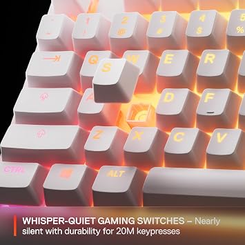 SteelSeries Apex 3 TKL - Gaming Keyboard - Tenkeyless Compact Form Factor - Silent Gaming Keyboard - 8-Zone RGB Illumination - IP32 Water & Dust Resistant - American QWERTY Layout, White