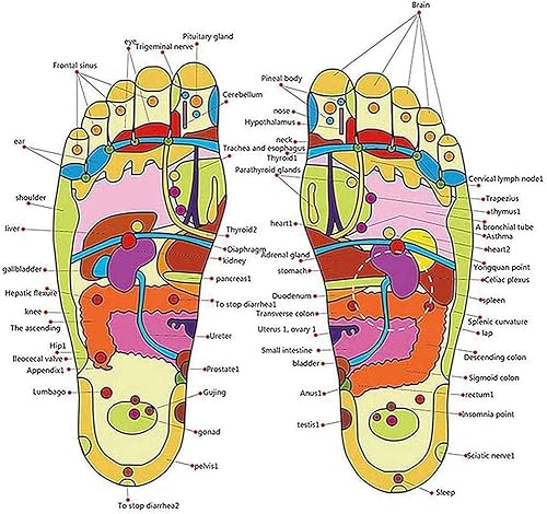 Miniatura 5 de Masajeador de pies plantares de acupresión, pantuflas de reflexología, sandalias para hombres y mujeres, ayuda para fascitis plantar dolor de talón