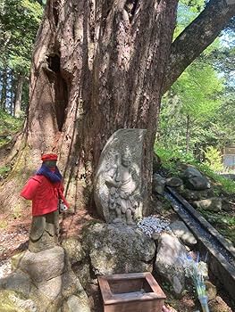 Amazon.co.jp: 早池峰神社 座敷わらしちゃん 御分霊お守り