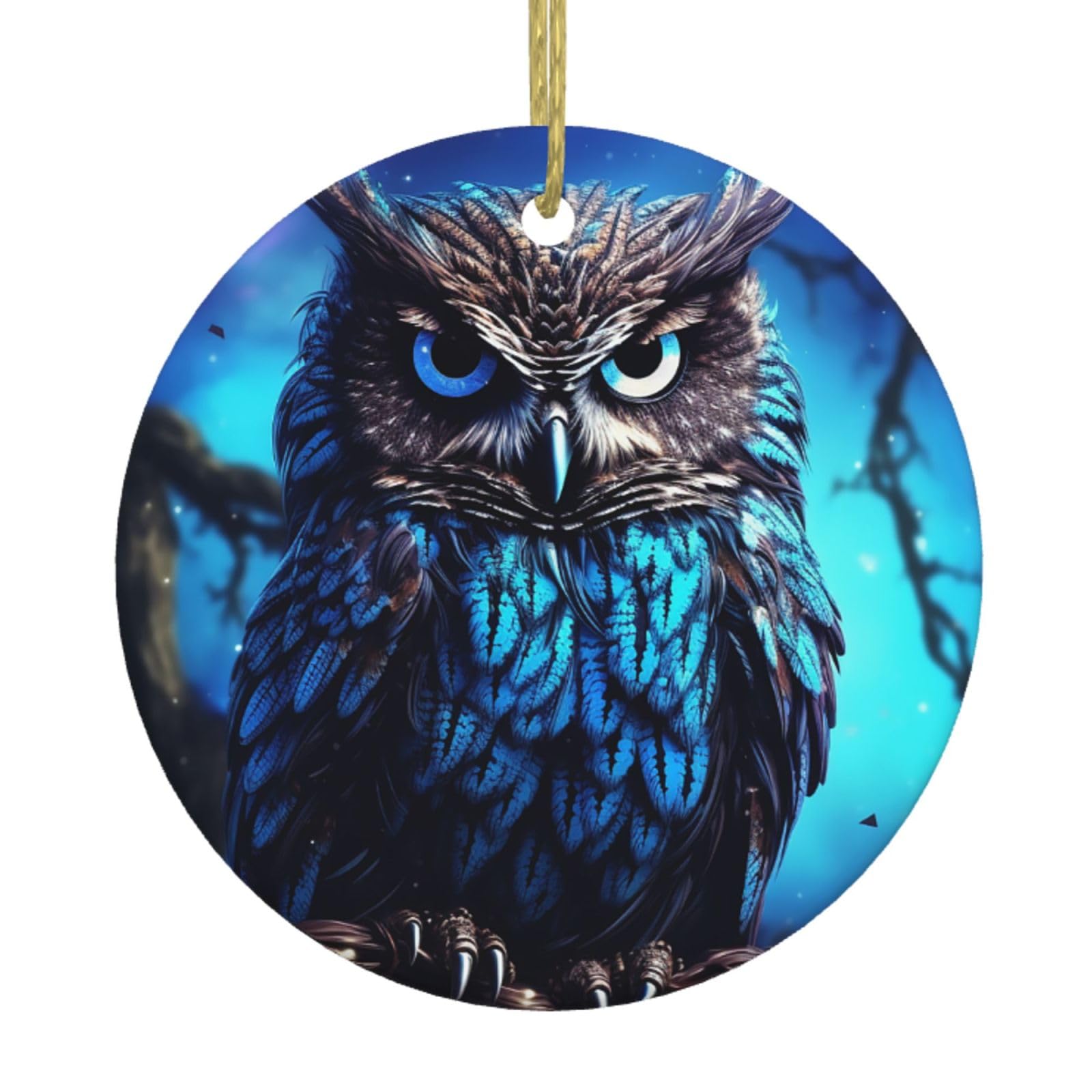 Fodpand Women's White Blue Owl Christmas Ornaments 2025, Gift Exchange For Men, Collectible Ceramic Ornament Round Hanging Ornaments For Christmas Tree Decoration