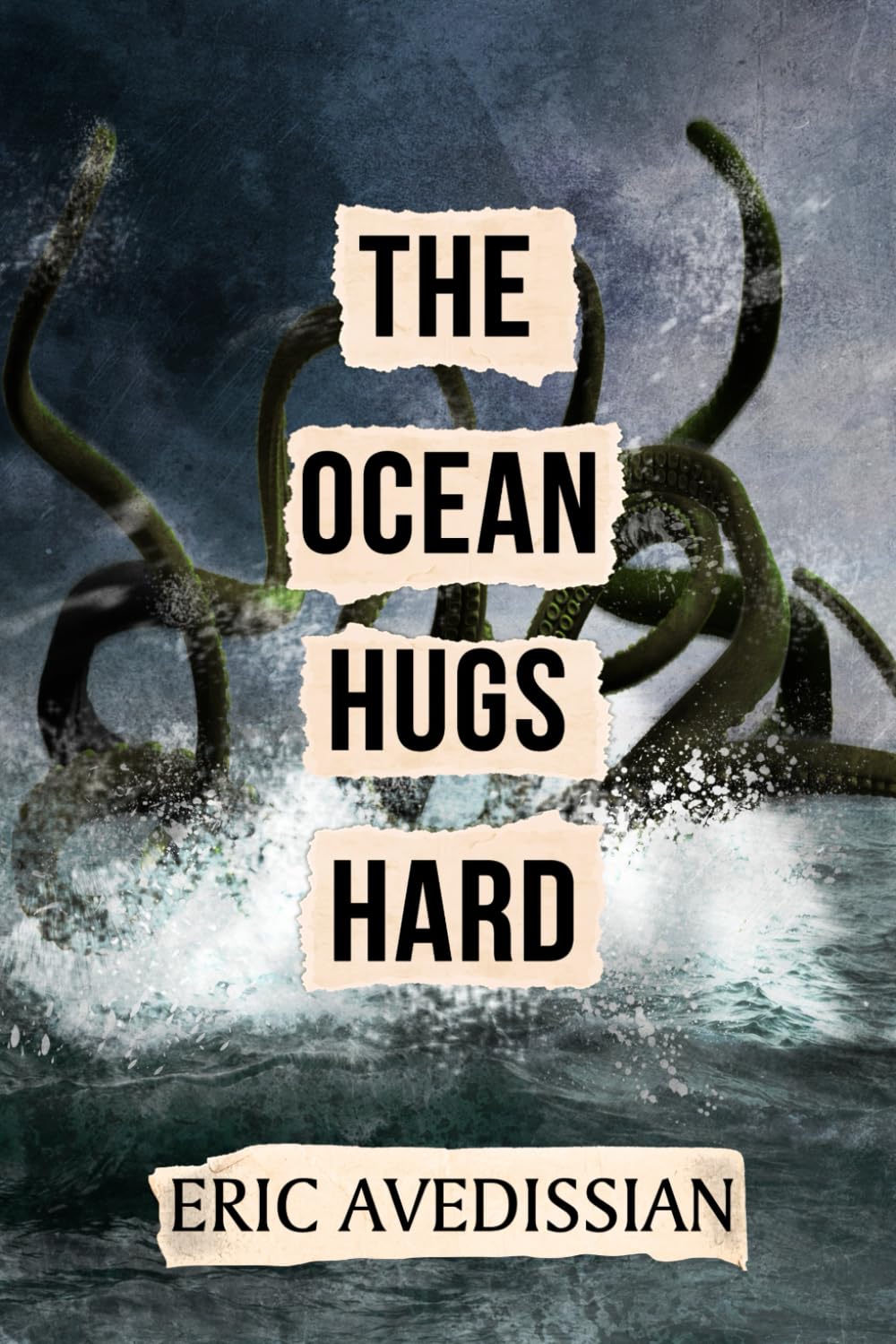 Cover of The Ocean Hugs Hard