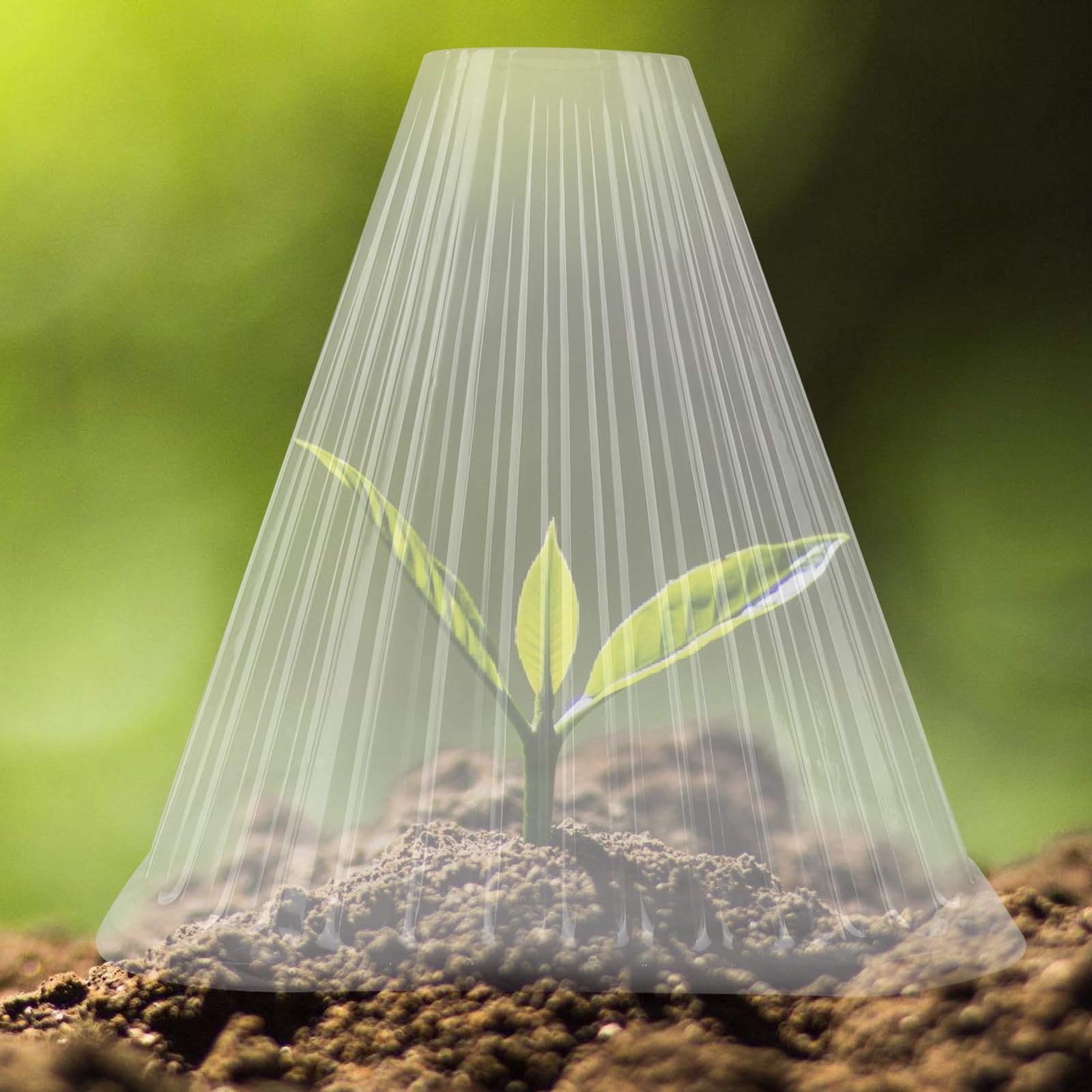 BAIFULAI Lot de 30 chapeaux de plantes transparents Ø 19 cm réutilisables protection contre oiseaux limaces gel