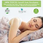 3-Piece Ensemble de couvertures de couettes – 300TC Tencel Lyocell, Ultra Lits de refroidissement doux avec 2 Carcasses d'oreillers – Lin de luxe respirant, durable (Peach Feather, Queen (U.S. Standard))