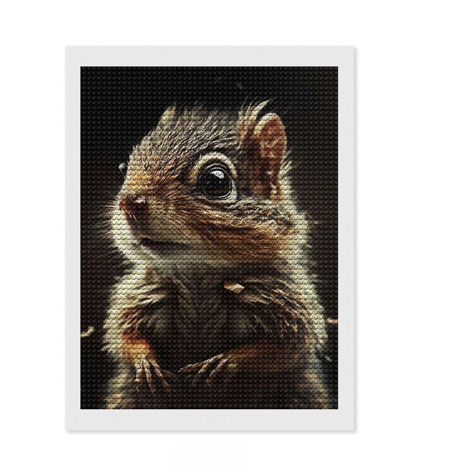Junmoney Cute Squirrel Portrait Diamond Painting Canvas Set 12"x16", for Teens, Satisfying Creative Project, Christmas Gift, Farmhouse Decor