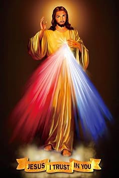 ROSTITCH DY1025 Divine Mercy Cross Stitch Kits, 11CTEasy Funny Preprinted Pre Printed Counted Stamped Cross Stitch Kits for Beginners Adults, Cross Stitch Embroidery Starter Kit for Adults