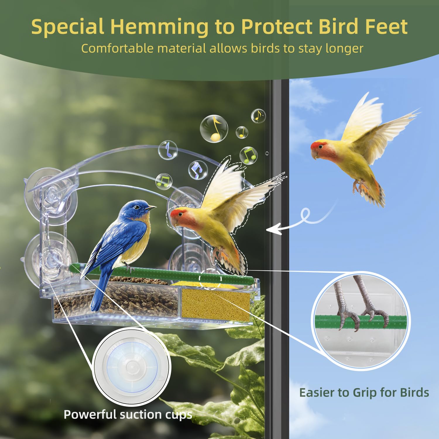 Comedero Para Pájaros Con Ventana Para Bandeja Desmontable, | Meses Sin