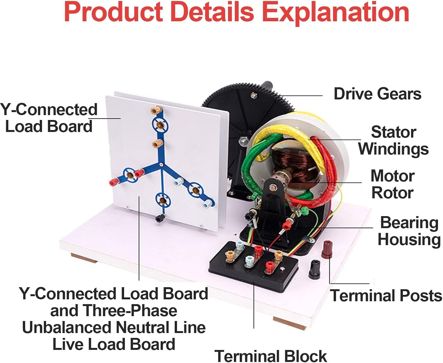Generatore Trifase Ca/cc A Manovella, Modello Per Esperimenti Di Fisica Sui Generatori Elettrici, Facile Da Usare, Con Robuste Bobine In Rame Puro, Design Aperto, Ideale Per Laboratori