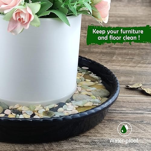 Vista 13 de SupKing Platillos para plantas de 6 pulgadas, bandejas de plástico resistentes para goteo de plantas, platillos de maceta transparente duradero