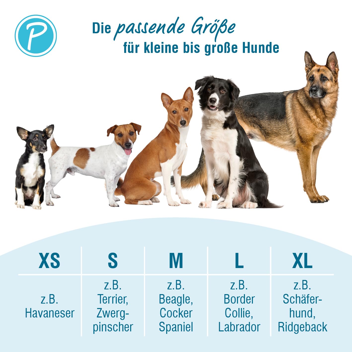 Petlando Hundegeschirr Outdoor – stark reflektierend, gepolstert, atmungsaktiv, robust, stufenlos verstellbar, Zwei D-Ringe – Berry, S (Halsumfang 36-48cm, Brustumfang 46-56cm)