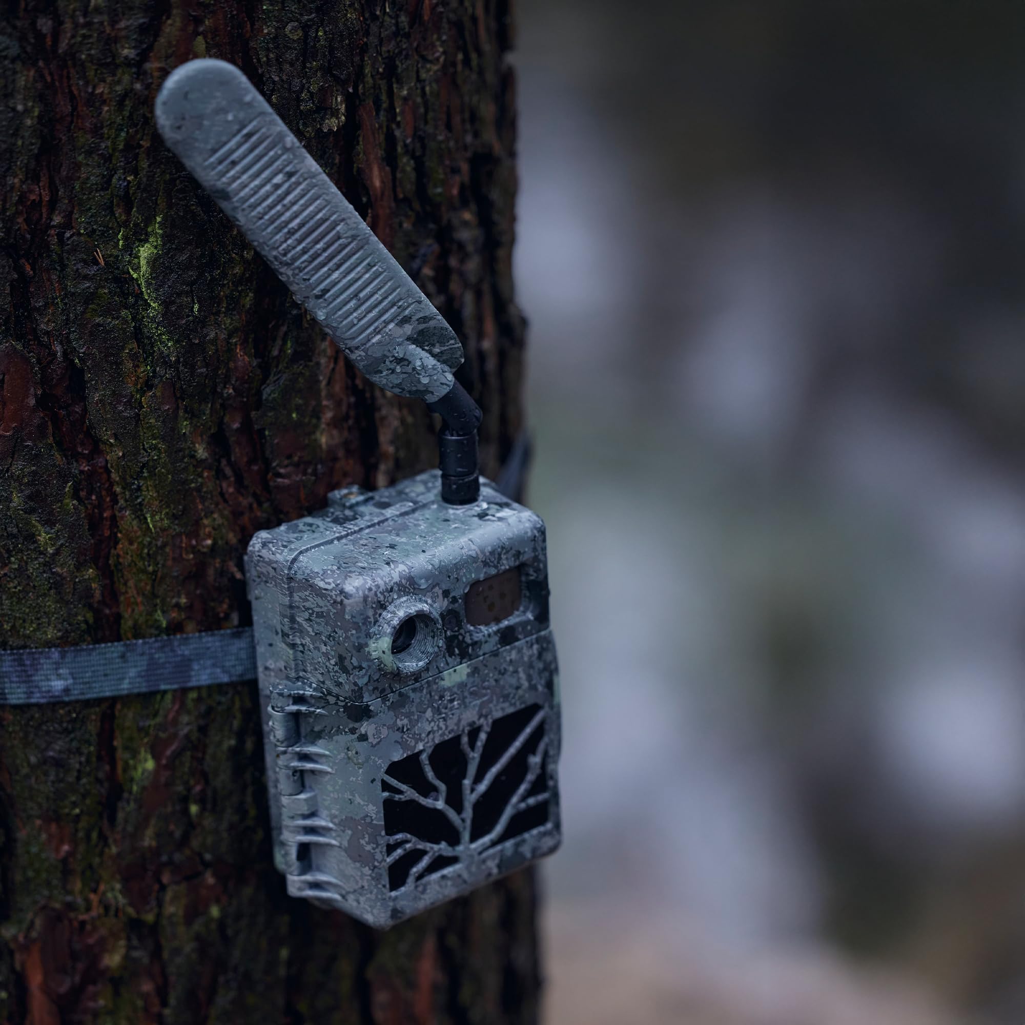 ZEISS Secacam Antenna Esterna 4G LTE, per Fotocamera da Caccia Connessa ZEISS, Antenna Omnidirezionale, Potenziatore di Segnale, per fotocamera di sorveglianza fauna, caccia all'aperto, sicurezza.