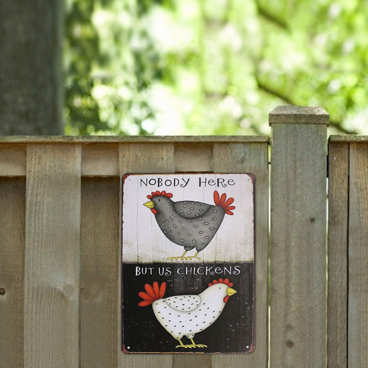 Targa Da Parete In Metallo Vintage 'Nobody Here But Us Chickens' 20x30 Cm - Decorazione Rustica Per Casa E Bar - 2