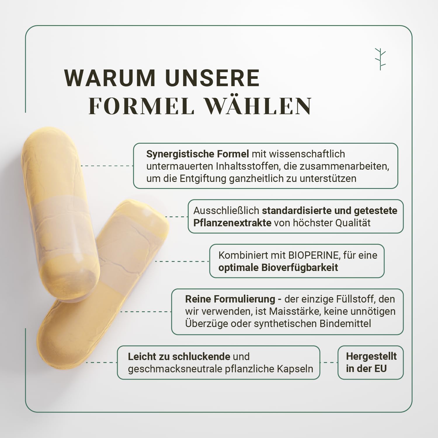 Nullure Thermogener Natürlicher I Vegan I Grüner Tee + Kurkuma + Ingwer + Berberin + Resveratrol + Knoblauch + Vitamin A + Piperin - 120 Kapseln (2 Monate)