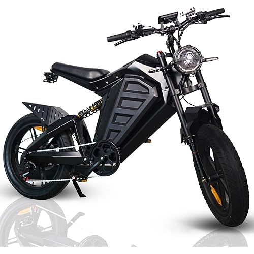 Electric Bike for Adults,1000W 48V30AH Removable Battery,One Piece Cast Aluminum Alloy Frame E Bike Electric Bicycle,Electric Bikes with 30mph Max Speed,20"X4"Fat Tire（Black）