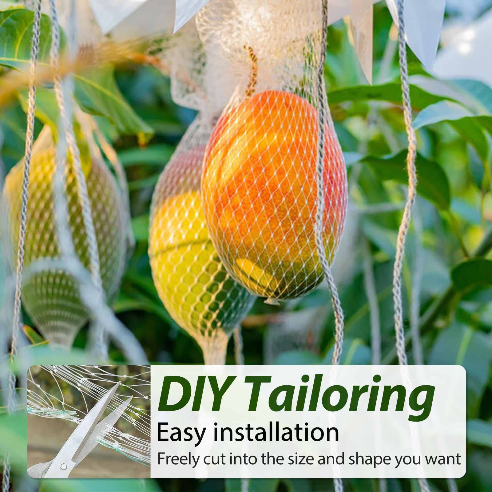 Enclos De Plantes En Maille Pour L'extérieur, Protection Pour Plantes Contre Les Nuisibles, Oiseaux Et Insectes, Garde Pour Fruits, Légumes, Fleurs Et