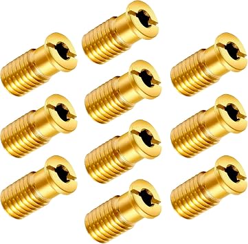 10 Pieces Brass Pool Cover Anchors Screws Pool Safety Cover Anchor Replacement Kit, Heavy Duty Pool Cover Anchors Concrete