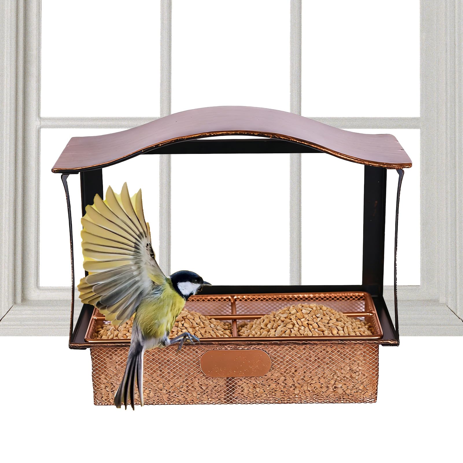 Mangeoire oiseaux fenêtre anti-intempéries pour petits oiseaux