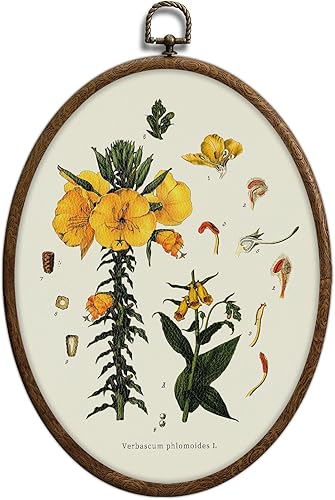 Miniatura 18 de Arte de pared ovalado de tigre en la bañera, divertido arte de pared ovalado de animales de baño, ecléctico, moderno, estético, impermeable, núcleo