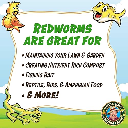 Miniatura 3 de Uncle Jim granja de gusanos. Incluye 250 lombrices rojas de compostaje.