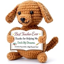 Teacher Appreciation Week Gifts for Women Men, End of Year Retirement Graduation Thank You Gifts, Teacher Supplies Essentials Desk Decor Accessories Stuff Things Presents, Small Funny Crochet Dog