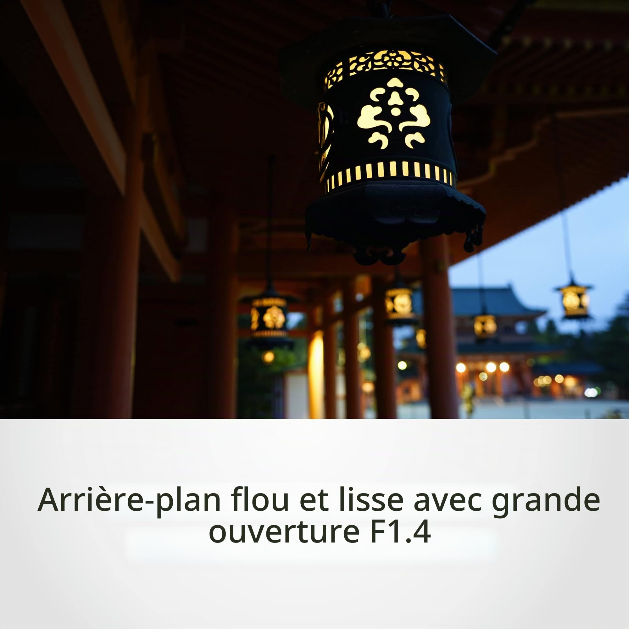 Sony Objectif Zeiss SEL-35F14Z Monture E Plein Format 35 mm F1.4