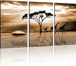 Savanne in Afrika - 165x100 cm 3-Teilig: Sepia