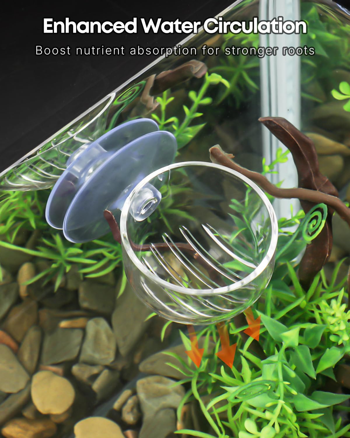 Pawfly Lot de 2 supports de plantes d'aquarium transparents en plastique pour aquarium avec ventouse pour décoration d'aquarium avec nourriture pour poissons vers rouges