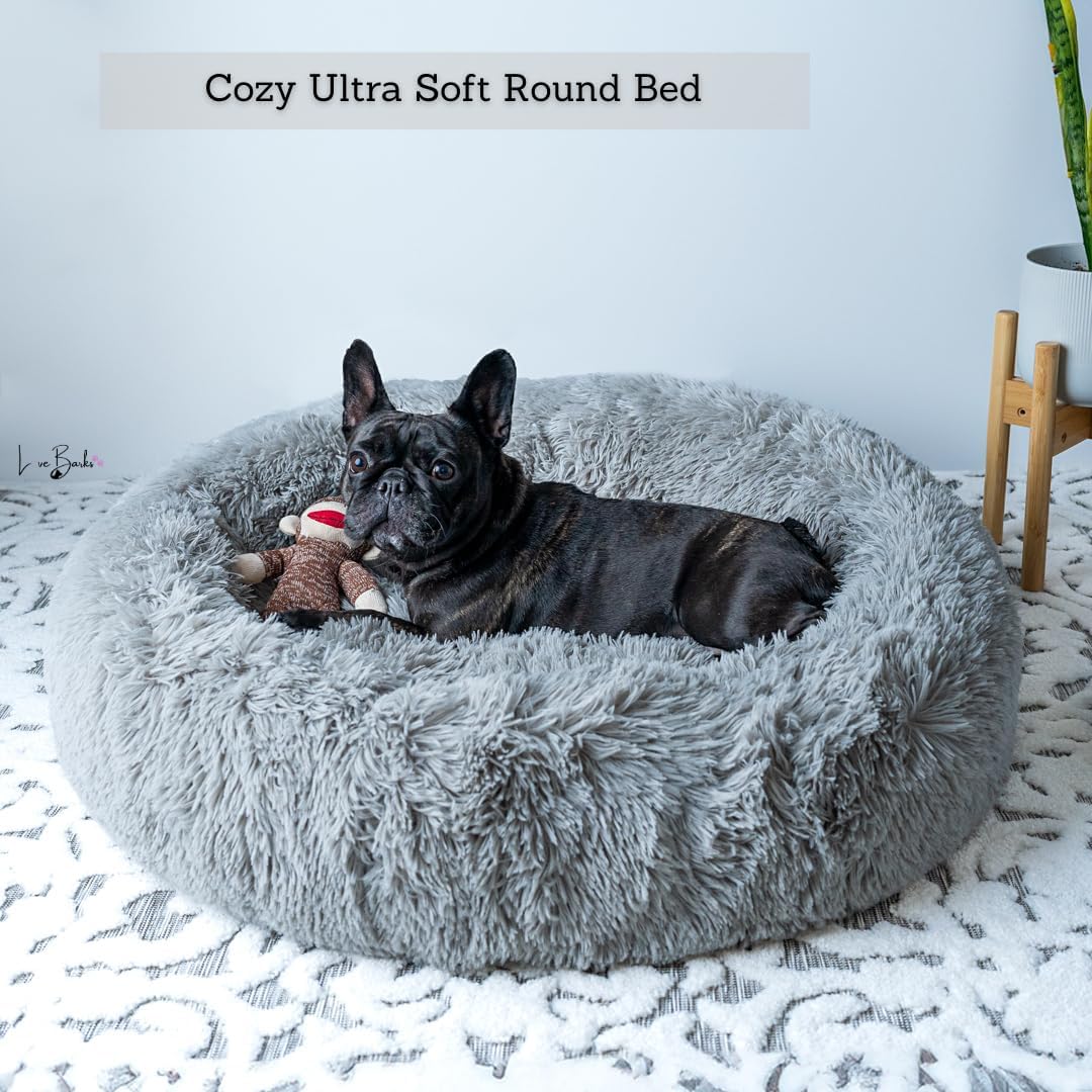 Anti-Anxiety Calming Donut Washable Large Bed for Medium Dog, Frenchie Friendly
