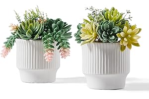 <p>BEST VIVERIE Faux Succulents in White Ceramic Pots for Desk</p>