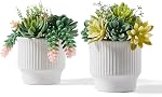 Plantes à succulent artificiel en pots de céramique, Faux Succculents assortis Faux Cactus Plantes pour la décoration maison, Chambre, Bureau, Salon, Ensemble de 3