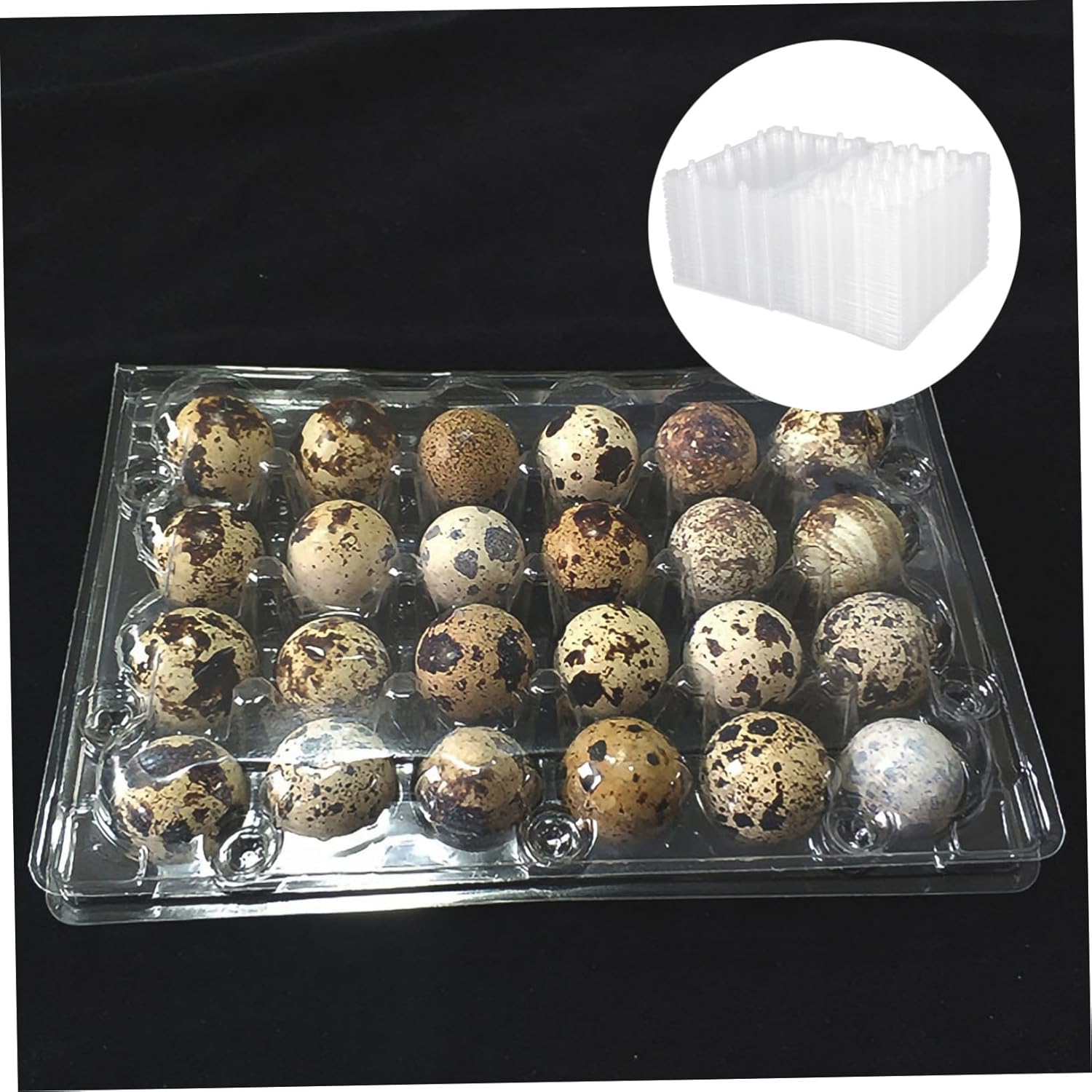 Uonlytech 50pcs Transparent Quail Trays Capacity for Kitchen Storage Supermarkets and Stores Boxes for Hatching and Packaging