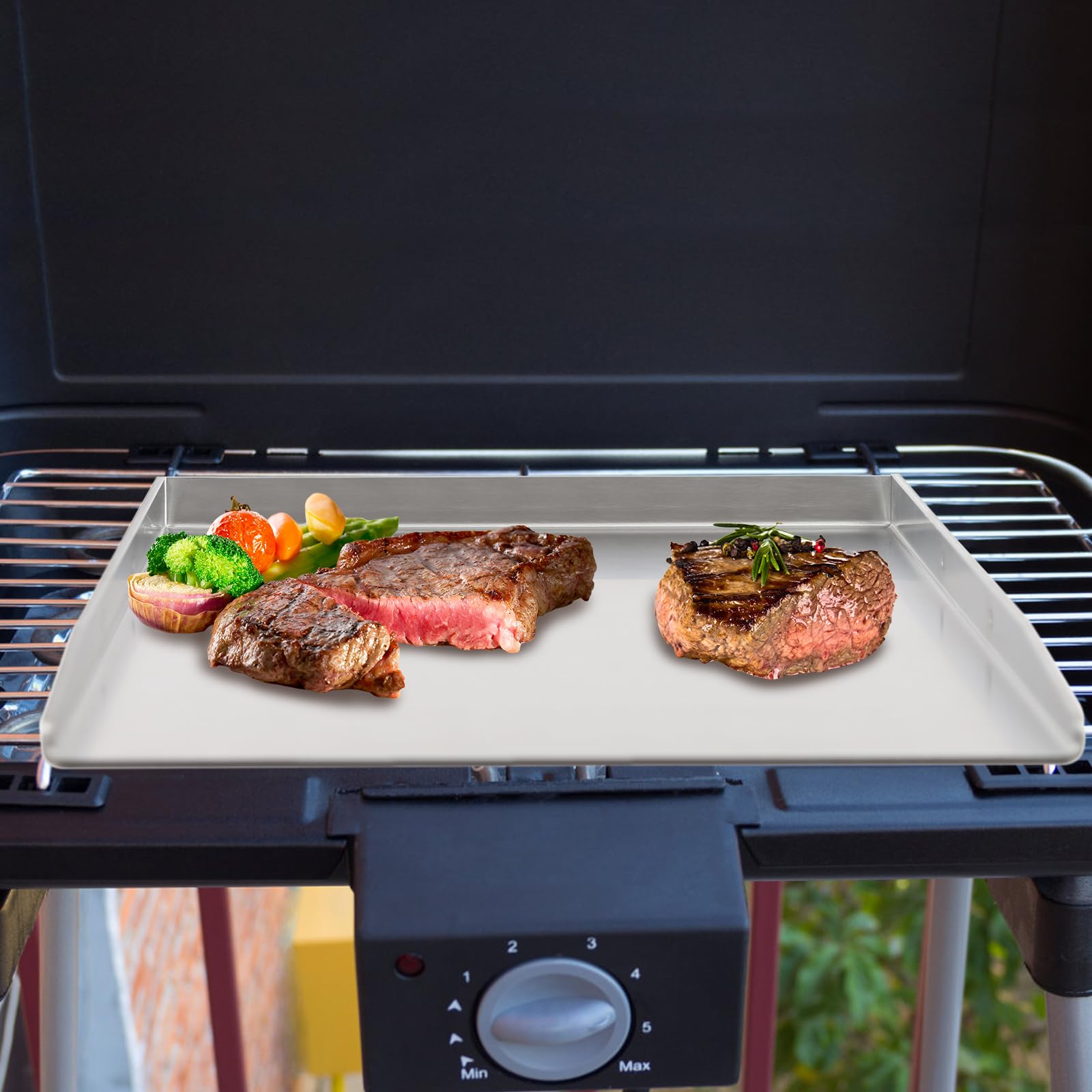 Plancha de acero inoxidable para barbacoa de gas y camping con asas para carne, pescado y verduras (plata, 45 x 30 cm)