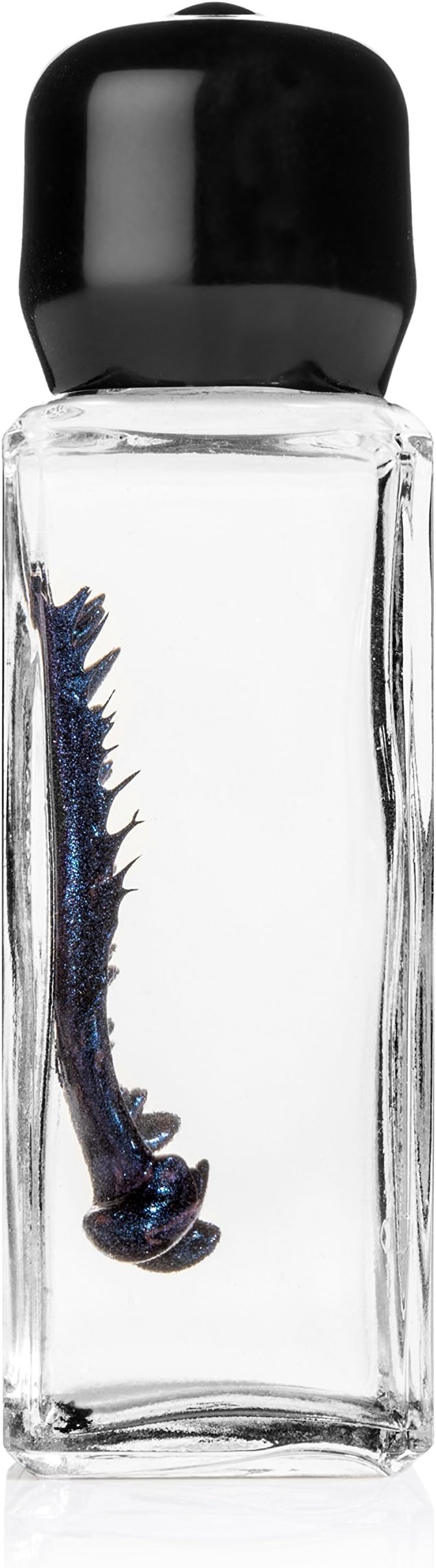 Inspired Designs Blue Colored Ferrofluid in a Bottle Display