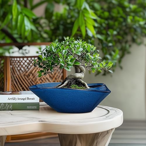 Miniatura 2 de Maceta para árbol bonsái, maceta de cerámica con orificio de drenaje de 12 pulgadas, macetas decorativas para orquídeas suculentas para plantas de