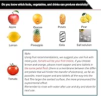 Vista 2 de Kit de experimento de batería de frutas EUDAX para equipo de enseñanza escolar y en casa de bricolaje, kit de proyecto de ciencia de reloj