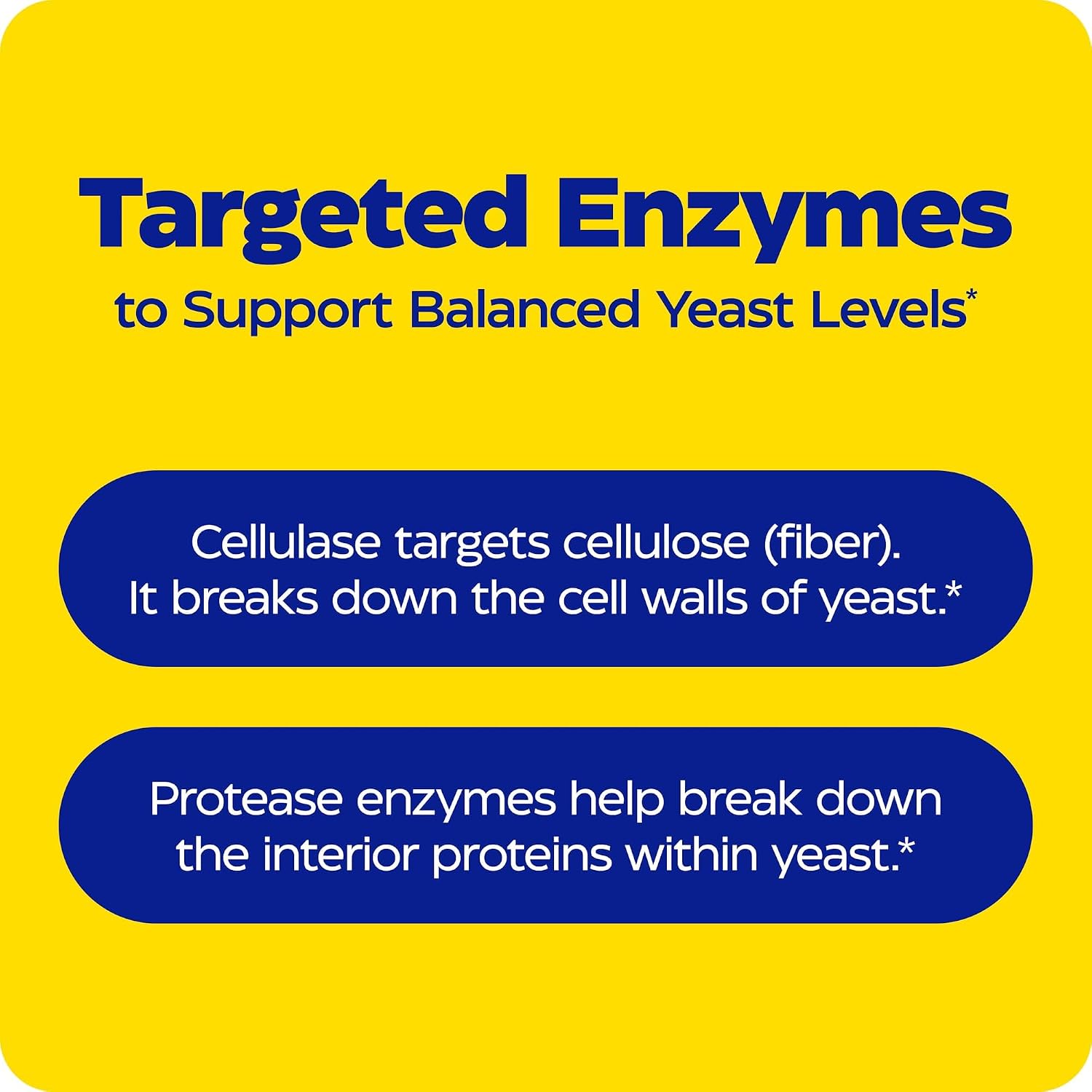 Enzymedica, Candidase, Digestive Enzymes for Gentle Cleansing Support, Gut Health & Digestion, 42 Count