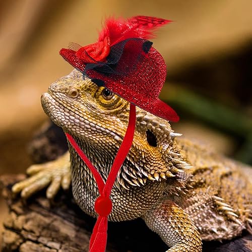 Miniatura 16 de 6 sombreros de pollo para gallinas, ropa de pollo, disfraces para pollos, sombreros para pollos, disfraz de dragón barbudo, sombreros pequeños