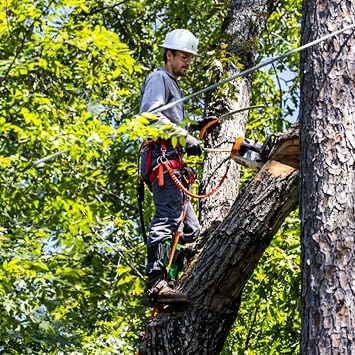 Tree Climbing Gear Kit with Adjustable Tree Climbing Spikes Durable Spikes for Tree Work