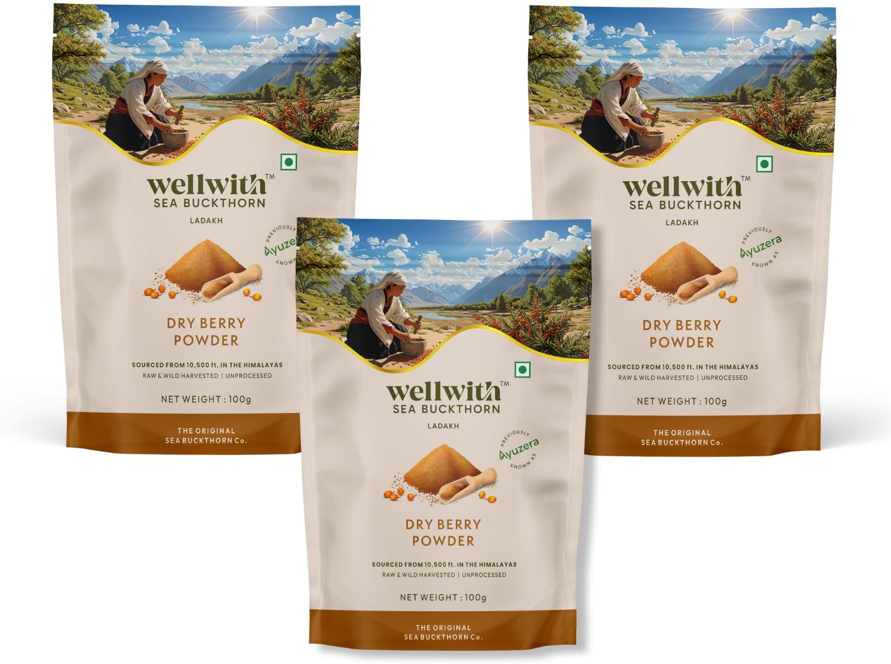 - Wellwith by Ayuzera Himalayan Sea Buckthorn Dry Berry Skin Powder | Rich in Omega 3, 6, 7, 9 | Collagen, Fiber, Omegas, Vitamin C, Vitamin E | Dry Sea Buckthorn Berry Powder (300 Grams)