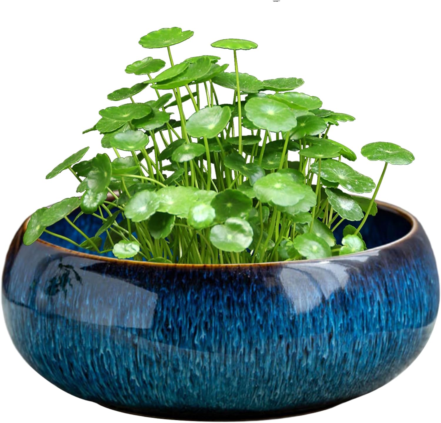 Gcroet Lotus Bowl Planter Ceramic Bonsai Schale for Hydroponic Plants, Water Lotus Bowl, Multi-Use Planter for Succulents, Flowers and Aquatic Plants (16.5x6.5cm).