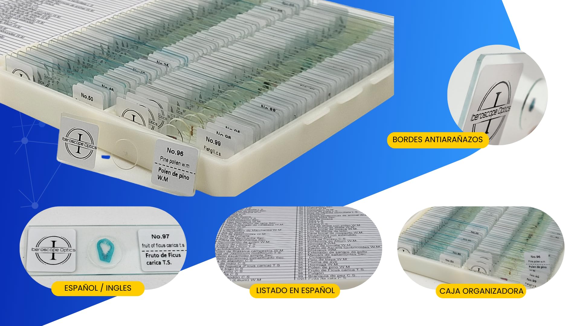 100 Muestras Preparadas para Microscopio en Español + USB con Manual de Microscopía | Set Educativo Estudiantes y Adultos |Vidrio Óptico