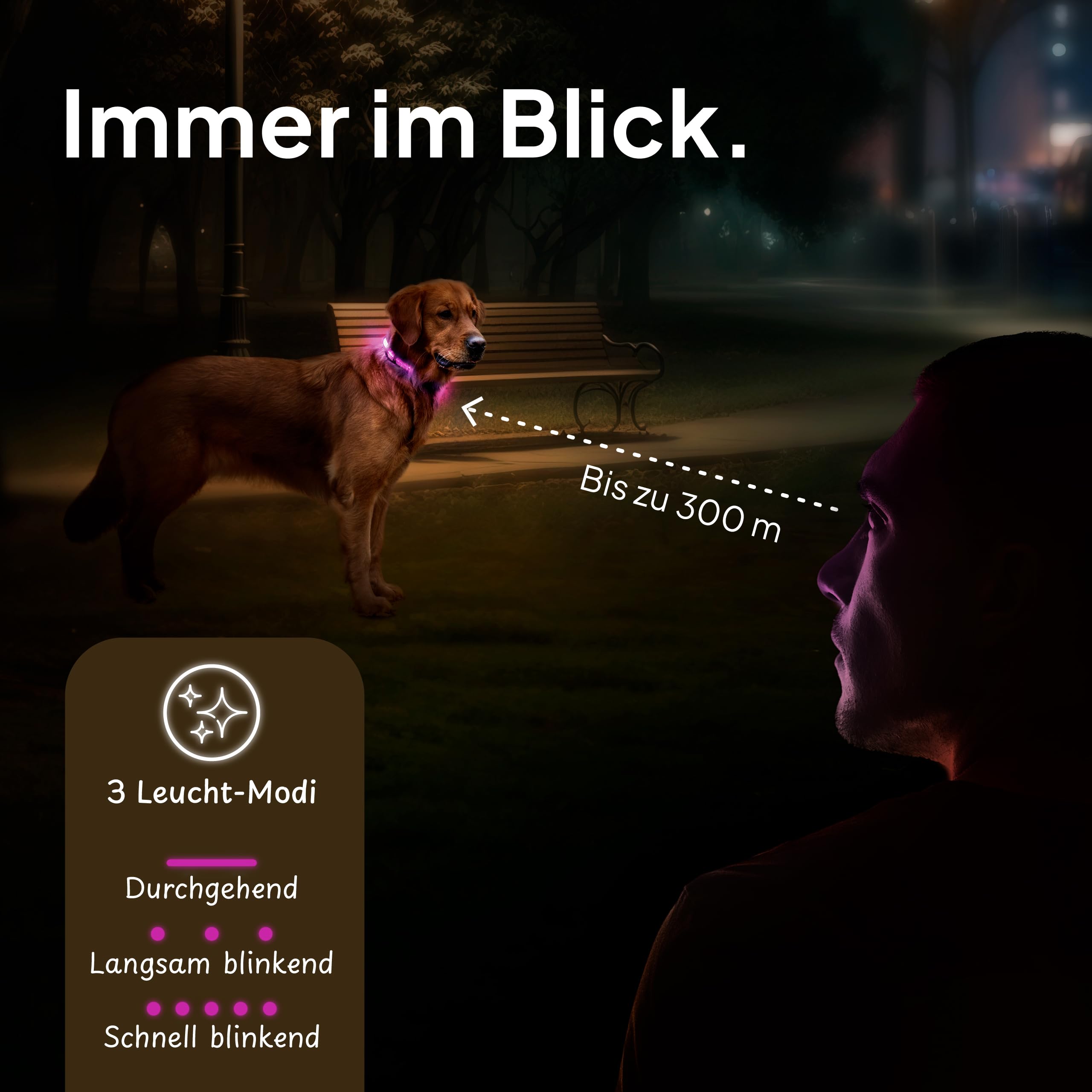 Tierhood Luminous Dog Collar, Luminous Collar for Small and Large Dogs, LED Dog Collar Rechargeable, Durable - Image 4