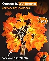 Vista 3 de Guirnalda de luces para Acción de gracias, 20 ledes, 8.2 pies