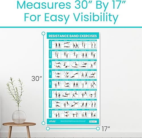 Miniatura 5 de Vive Póster de entrenamiento de banda de resistencia (40 ilustraciones) laminado de peso corporal Hitt Tabla de ejercicios para abdominales