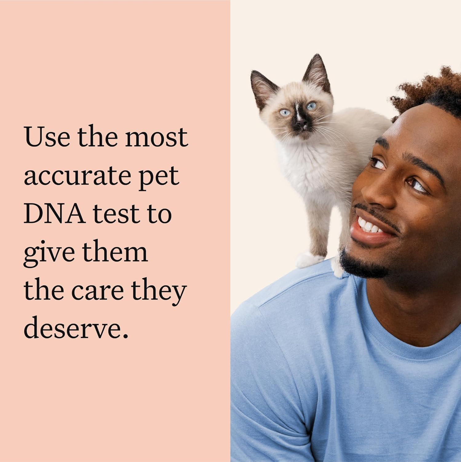 Wisdom Panel Complete: Comprehensive Cat DNA Test kit for 45 Health Genetic Health Conditions, 70+ Breeds and populations, 25+ Traits, Blood Type - Pack of 2