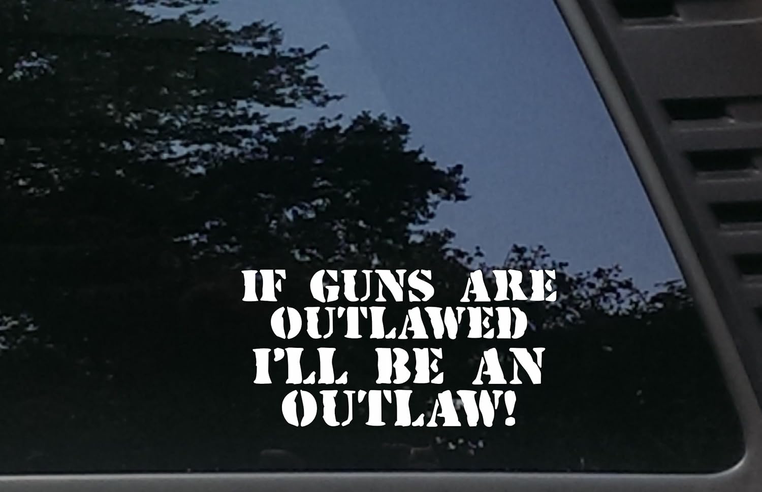 When Guns Are Outlawed I'll Be An Outlaw Decal