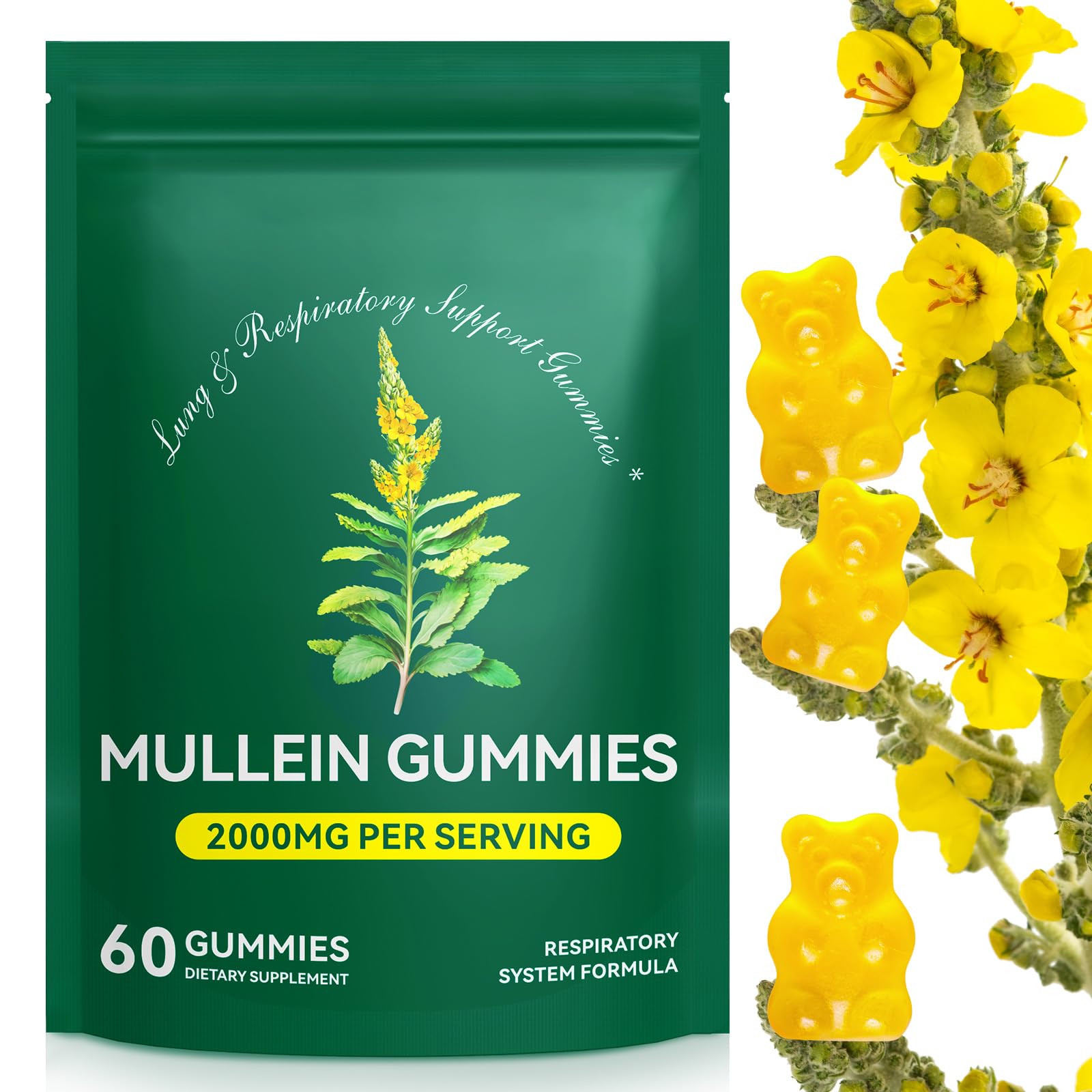 60 Count Mullein Gummies for Lung Cleanse 2000mg Organic Mullein Leaf Extract for Lung Cleanse and Respiratory Support
