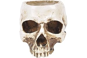 ChezMax Skull Planter Sugar Holder Resin Flower Succulents Skeleton Candy Bowl Halloween Decoration