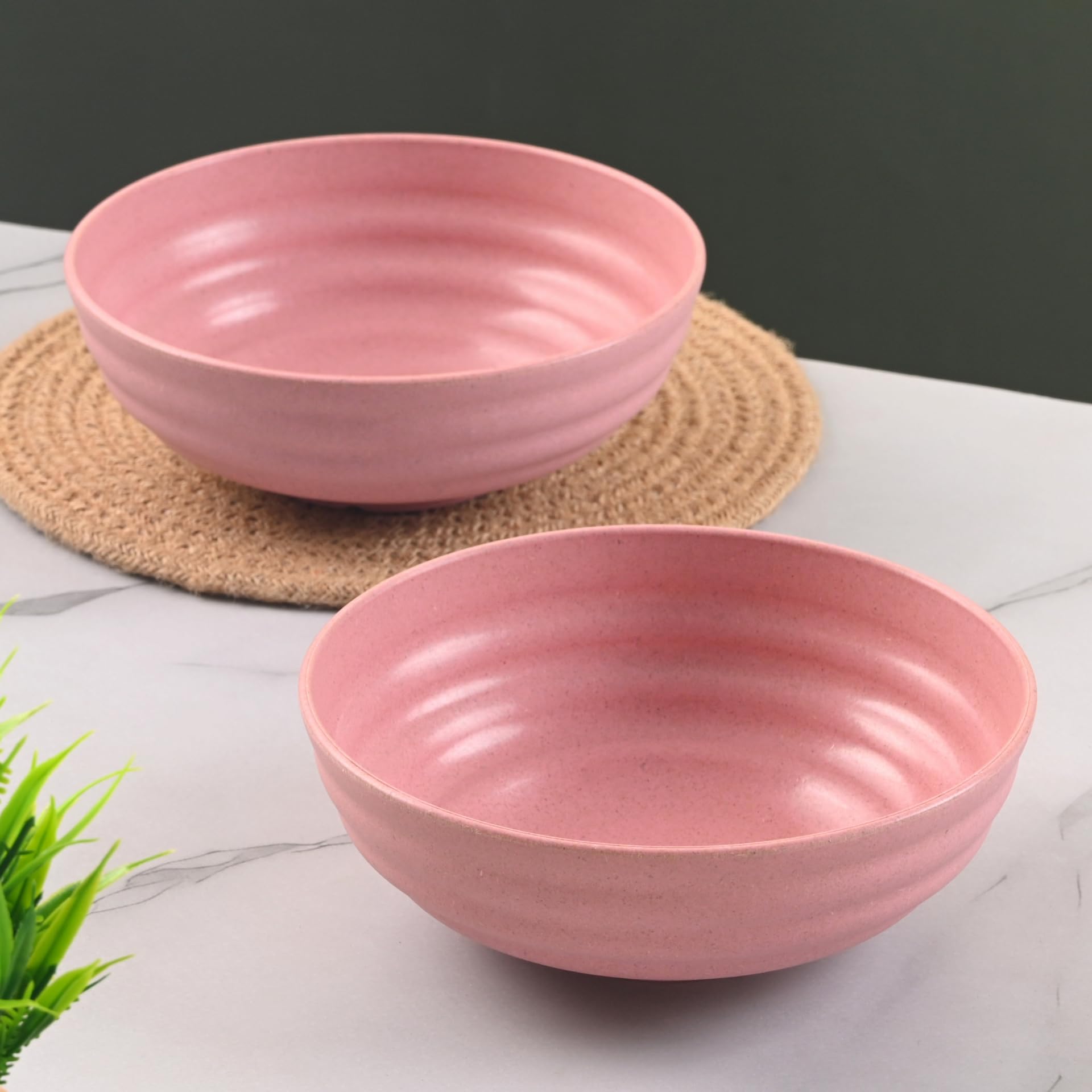 Eha Earth Friendly Ramen Bowls - Sustainable Dinnerware -16 Eha Earth Friendly Ramen Bowls - Sustainable Dinnerware -16